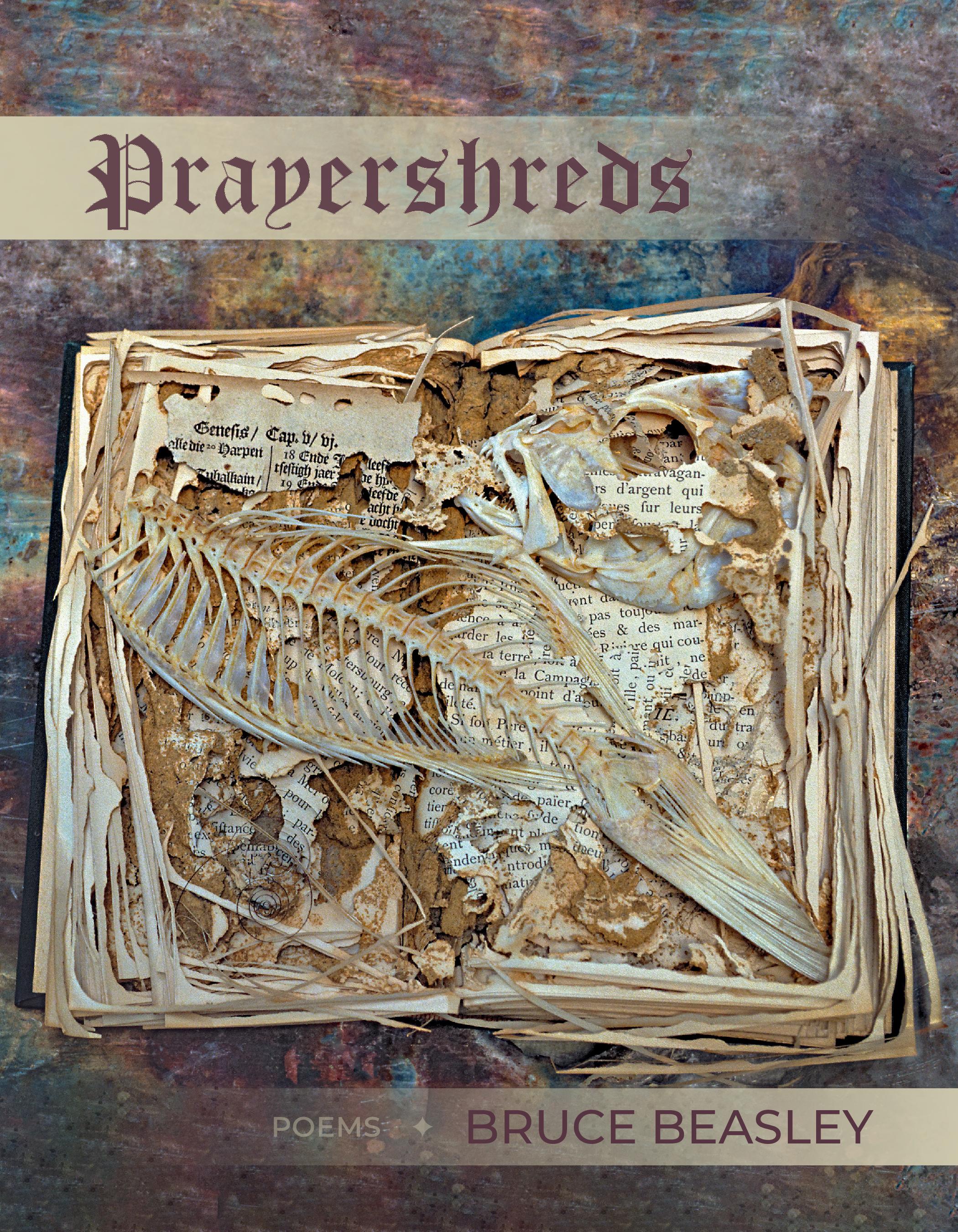 Prayershreds book cover